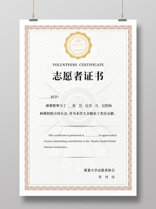 浅灰色简洁大气志愿者证书设计